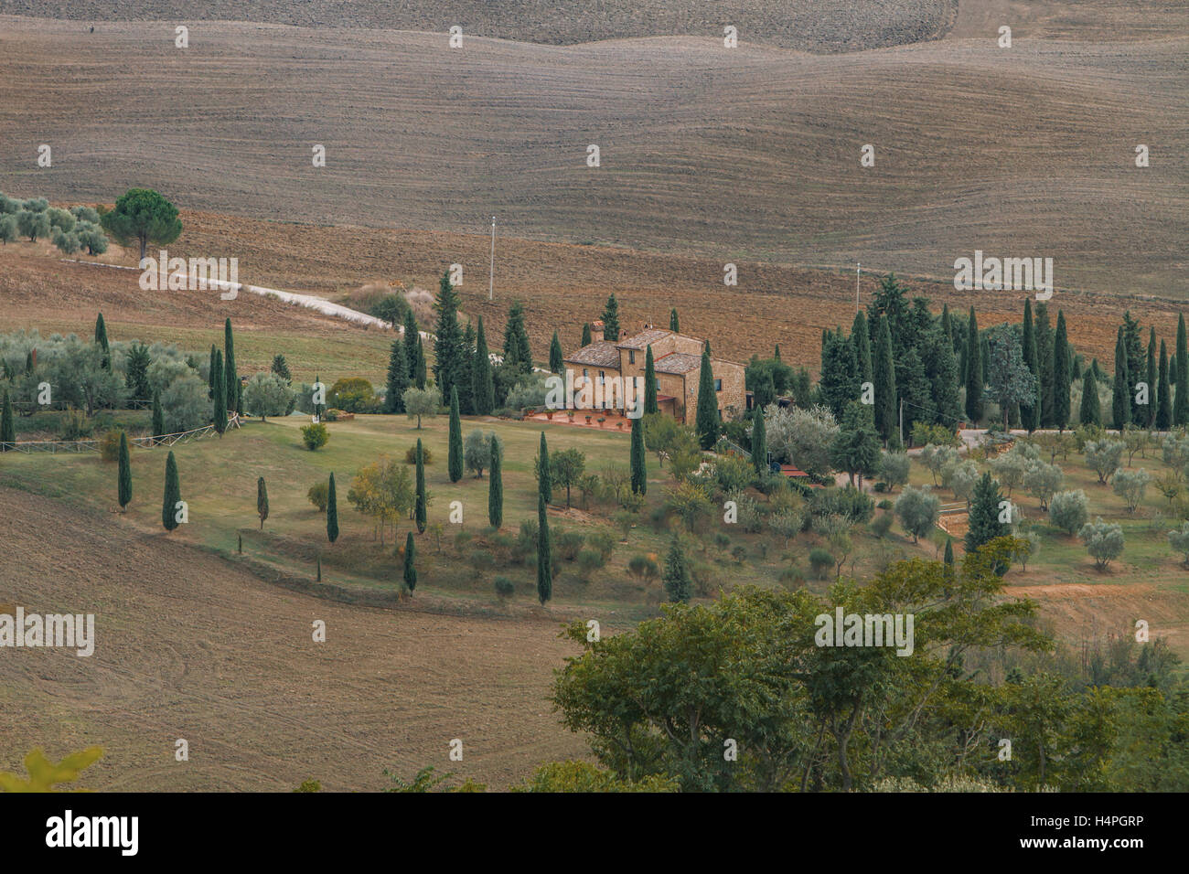 Panoramablick auf Val d ' Orcia von Montalcino, Toskana, Italien Stockfoto