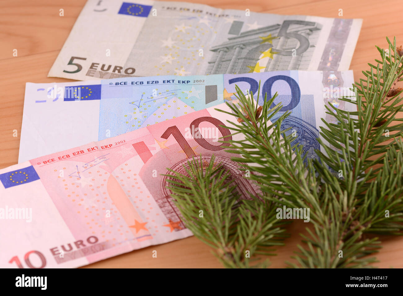 Zweig der Tanne auf einem Hintergrund-Geld von euro Stockfoto