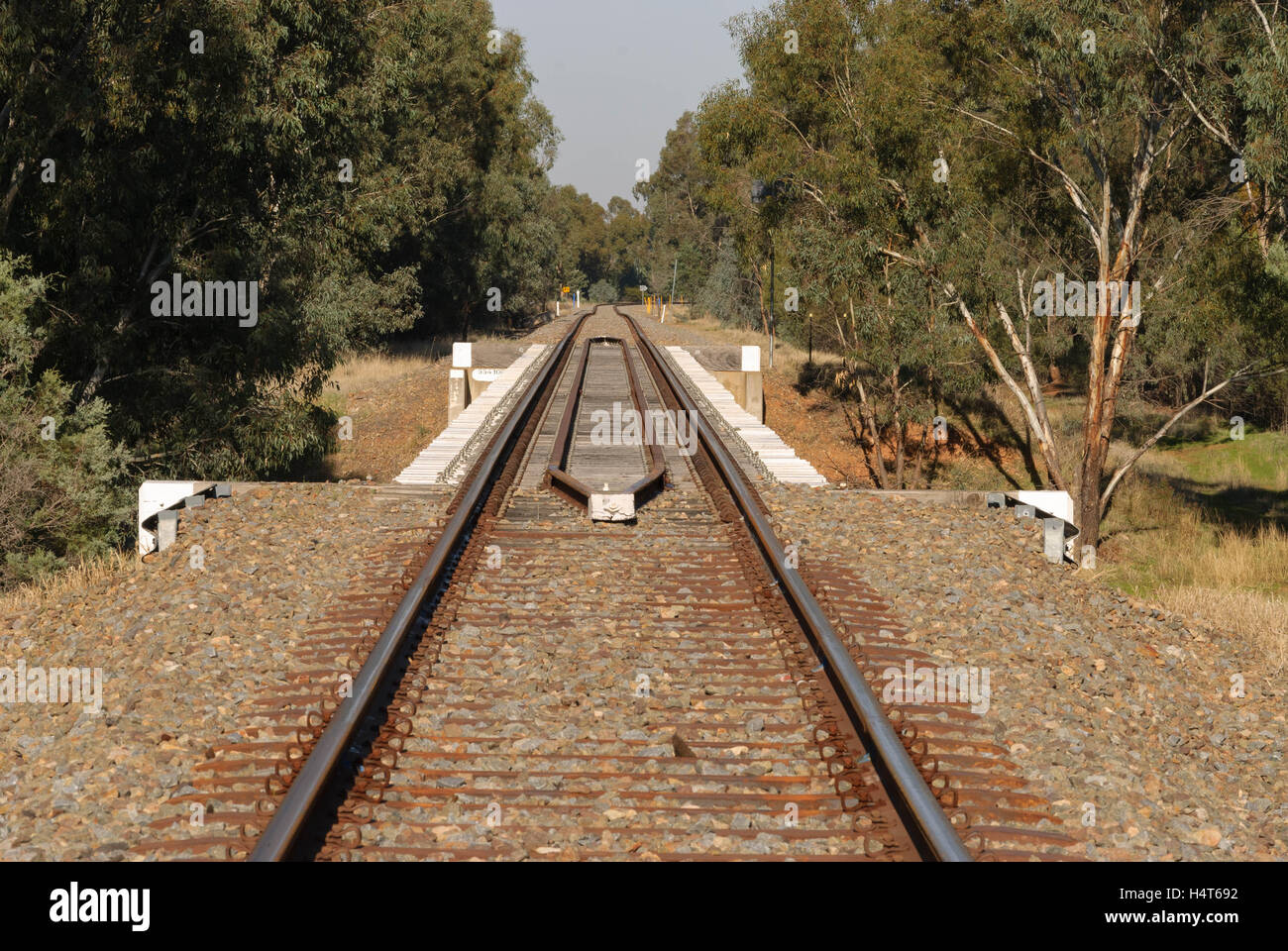 eine gerade Strecke von Bahnstrecke mit einer Brücke im Land mit Bäumen
