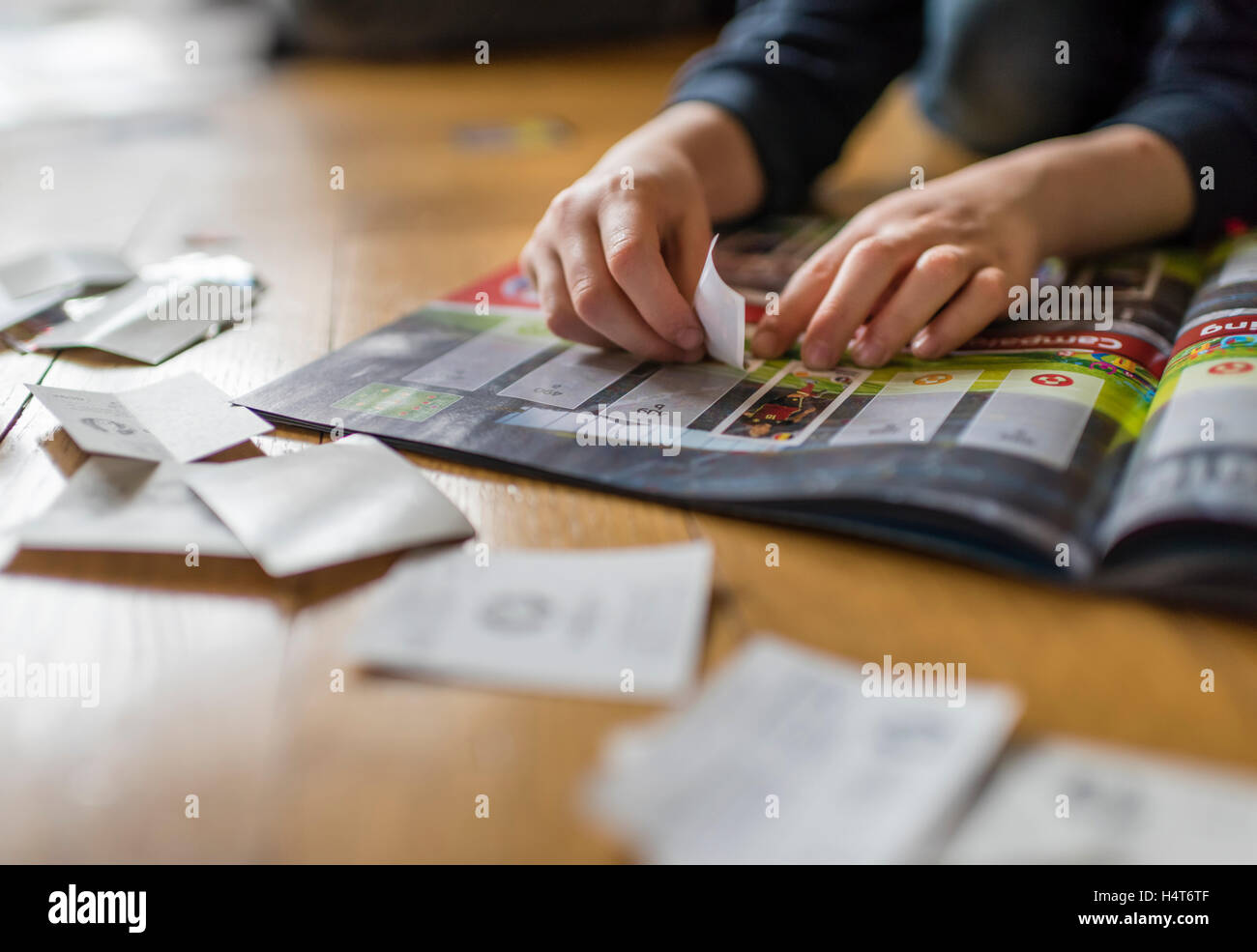 Ein 8 Jahre alter Junge ist Fußball-Sammelkarten in seinem Aufkleber Sammlung Sammelalbum einfügen. Stockfoto