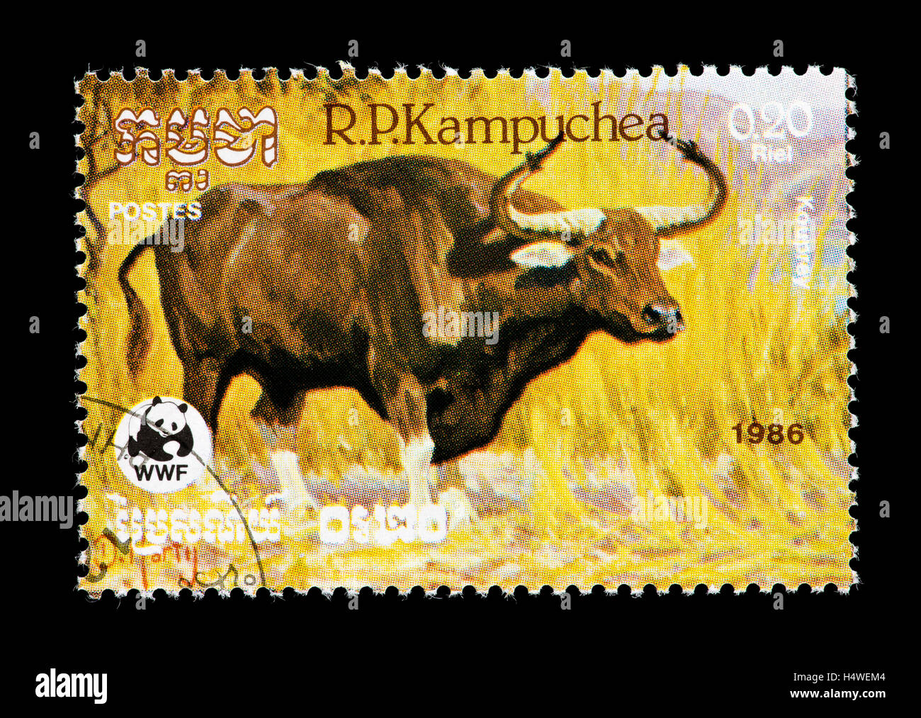 Bos sauveli Fotos und Bildmaterial in hoher Auflösung Alamy