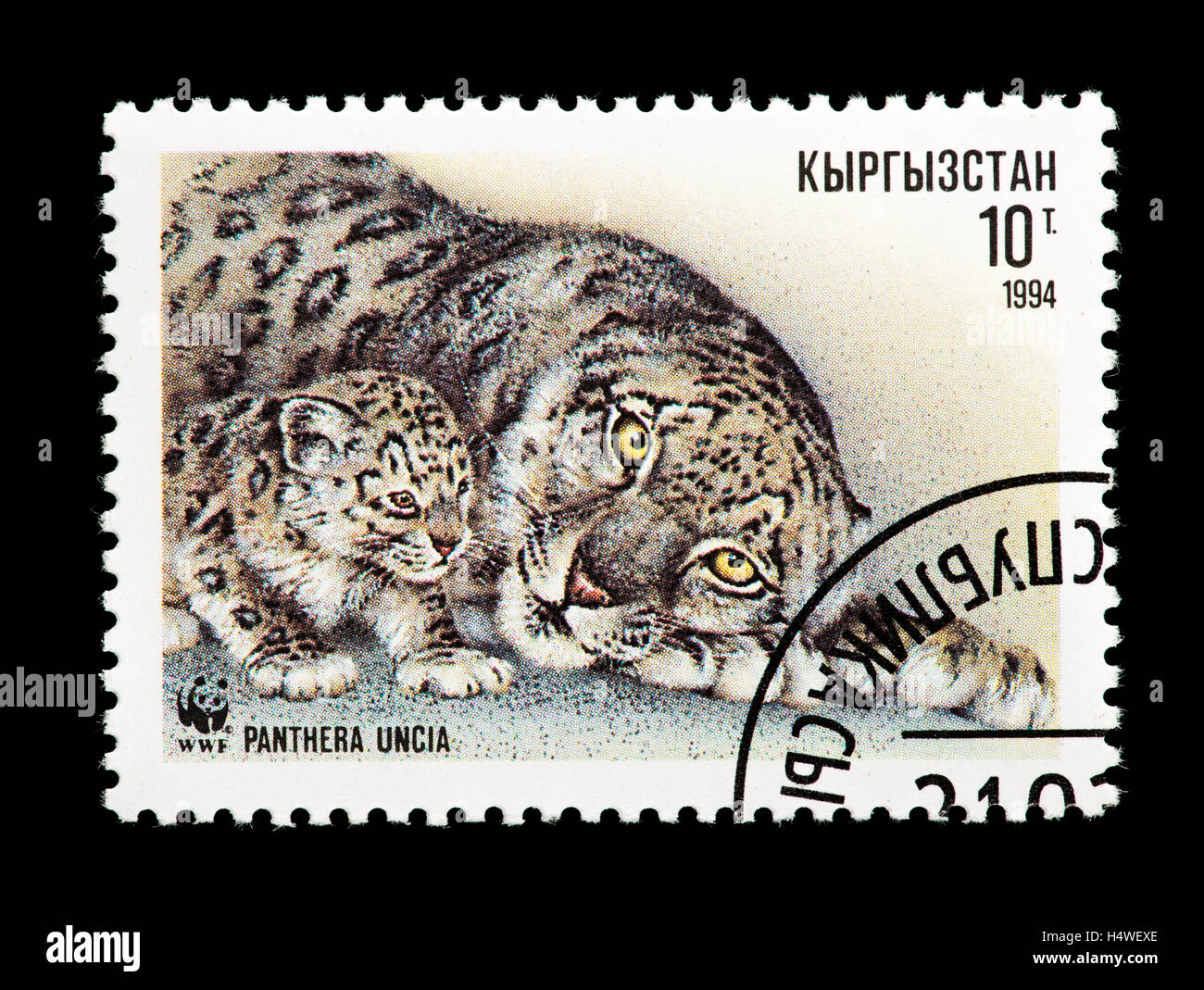 Briefmarke aus Kirgistan Darstellung ein weiblichen Schneeleoparden mit Cub (Panthera Uncia) Stockfoto
