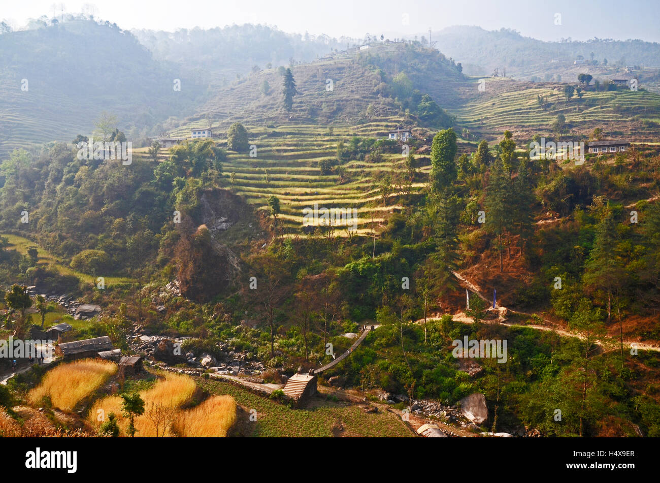 Terrassenfelder in der Nähe von Kharikhola, Solukhumbu, Nepal Stockfoto