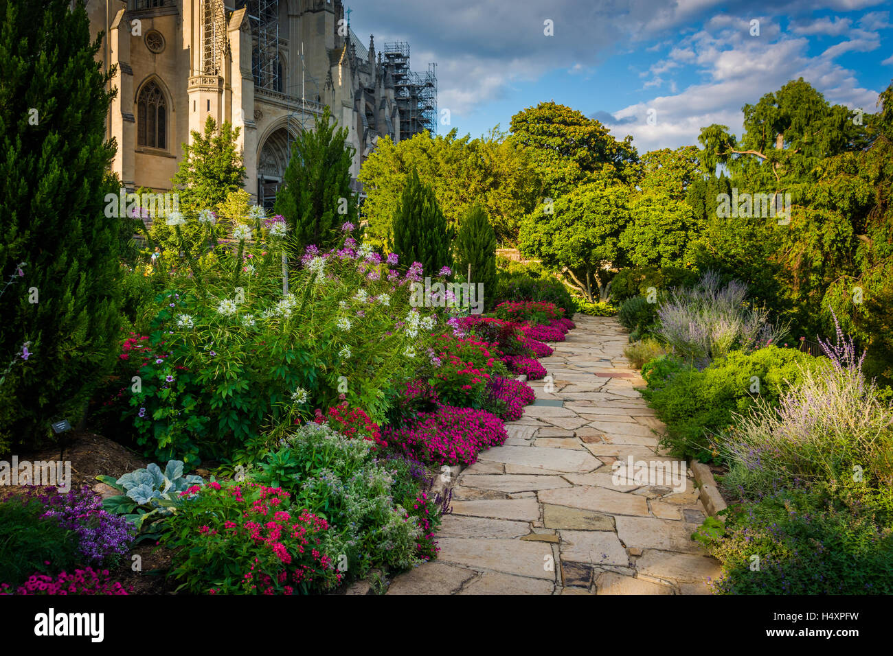 Pflanzen und Gehweg in der Bischof der Garten und die Washington National Cathedral in Washington, DC. Stockfoto