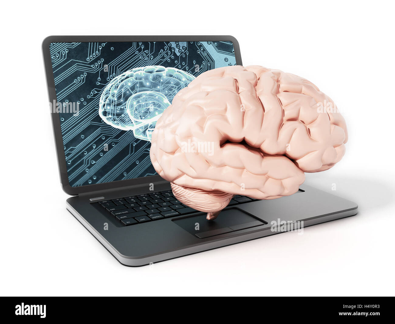 Gehirn auf Laptop-Computer-Tastatur stehen. 3D Illustration. Stockfoto
