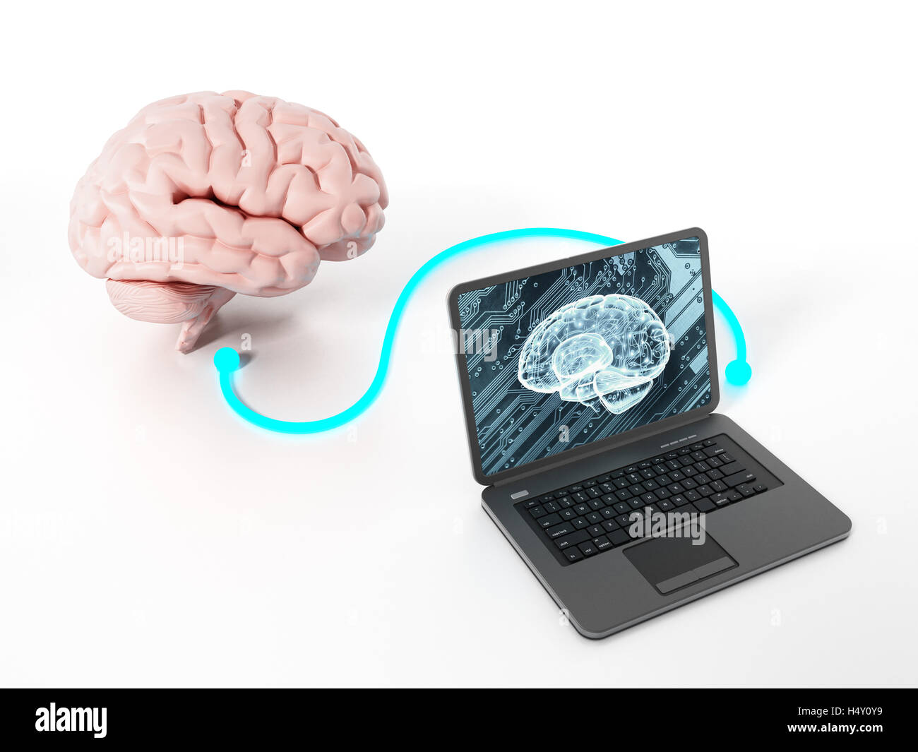 Gehirn an den Laptopcomputer angeschlossen. 3D Illustration. Stockfoto