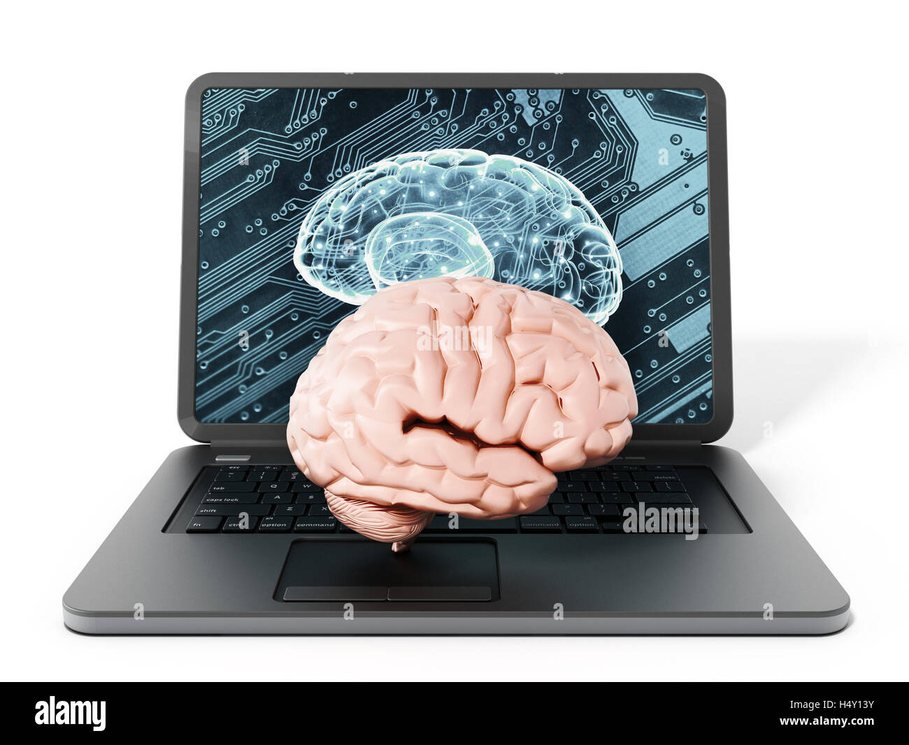 Gehirn auf Laptop-Computer-Tastatur stehen. 3D Illustration. Stockfoto