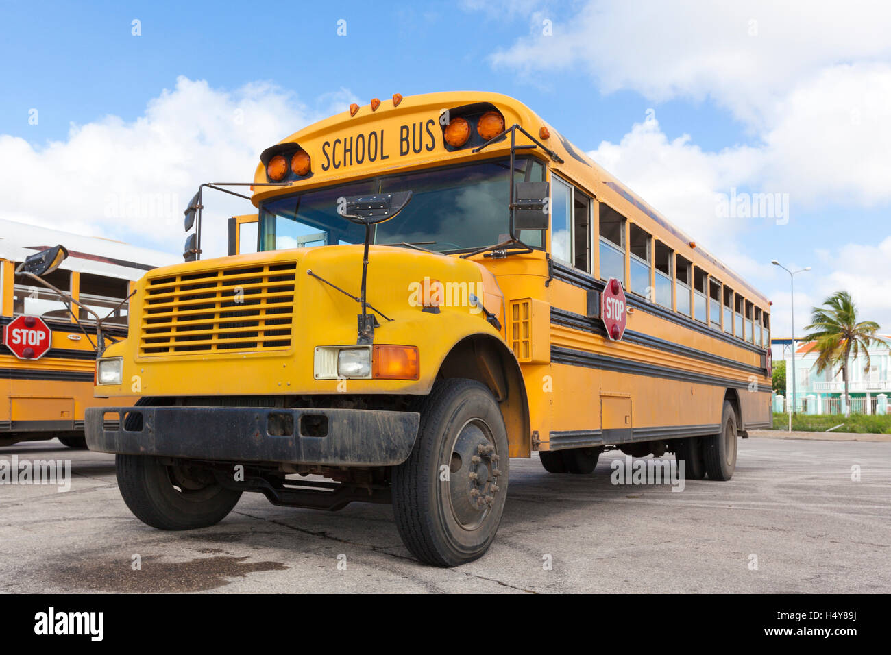 Gelben amerikanischen Schulbus, niedrigen Winkel Ansicht Stockfoto
