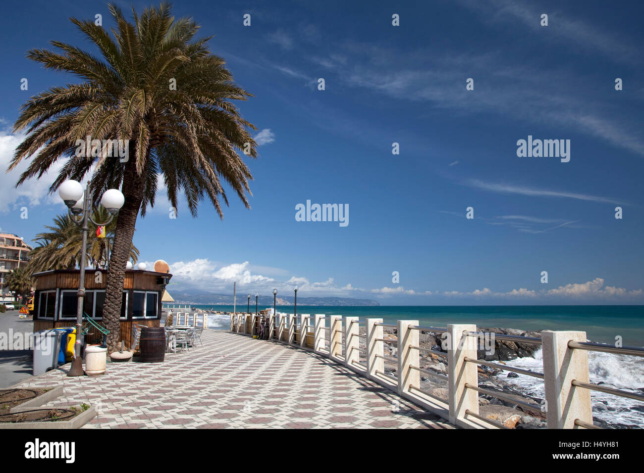 Palme auf der Strand-Promenade, Albenga, Riviera, Ligurien, Italien, Europa Stockfoto
