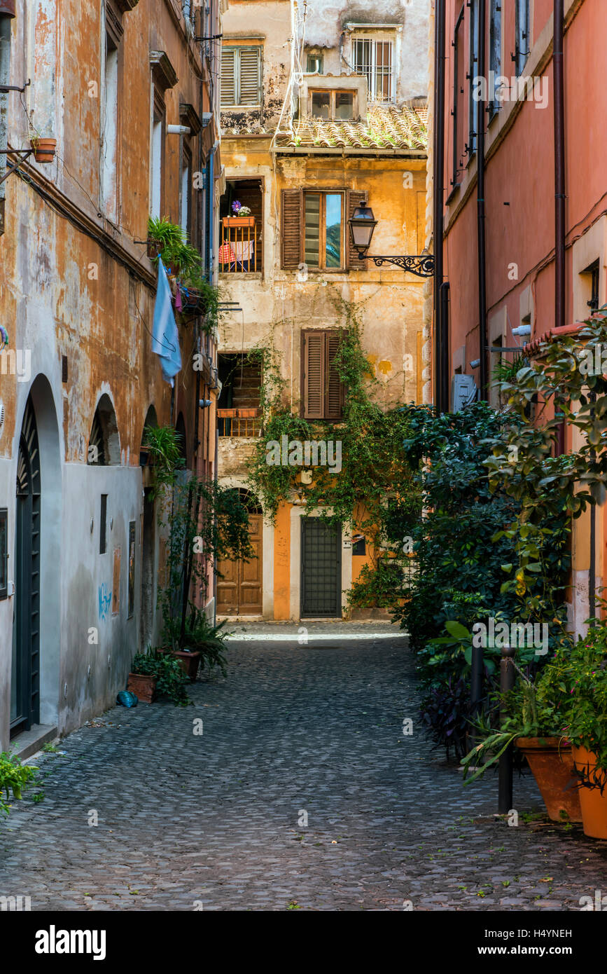 Malerische Aussicht auf einer Straße im Stadtteil Trastevere, Rom, Latium, Italien Stockfoto