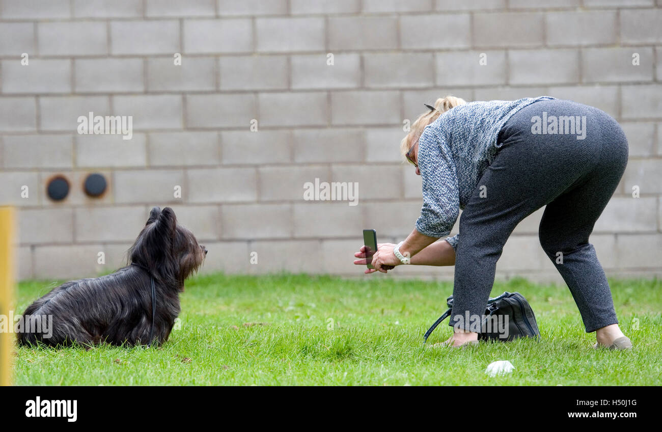 Frau, die ihren Hund mit einem Handy zu fotografieren Stockfoto