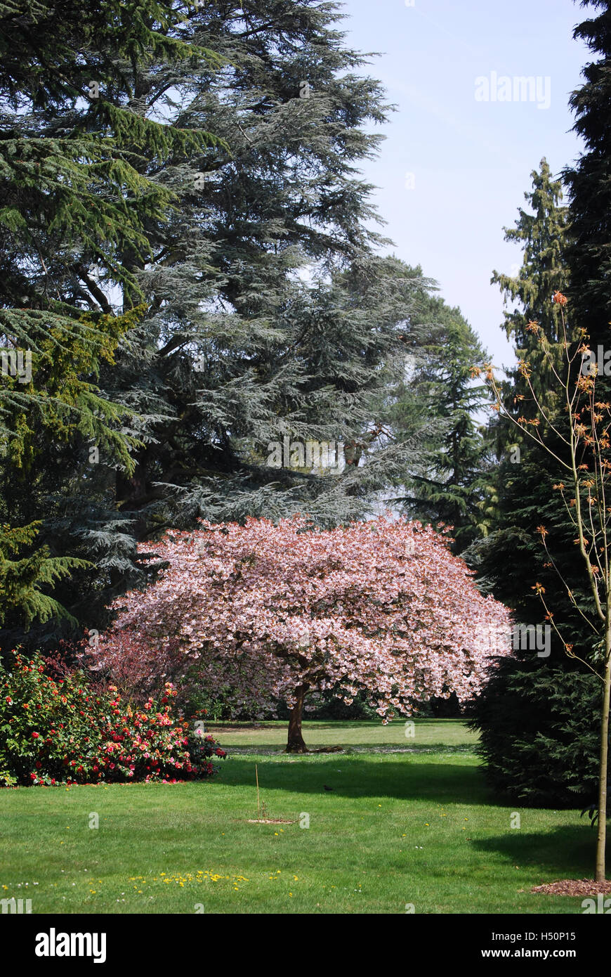 Osterley Park Stockfoto