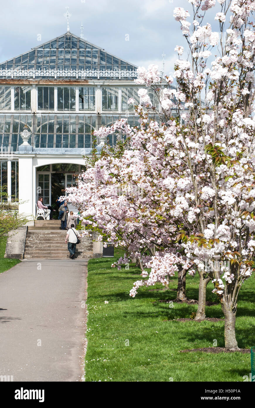 Frühling in Kew Garden Stockfoto