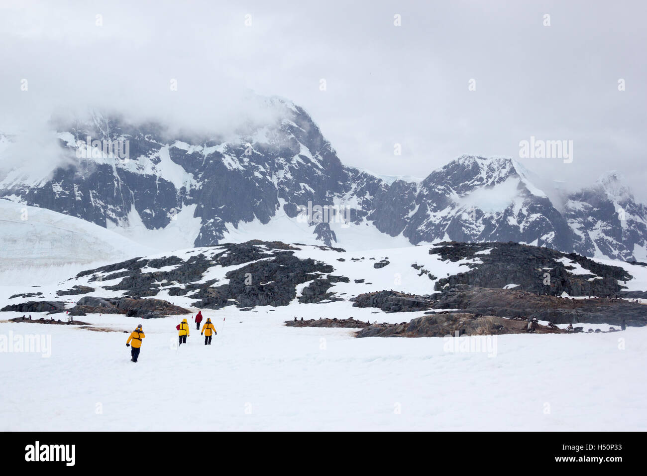 Touristen in der Antarktis Stockfoto