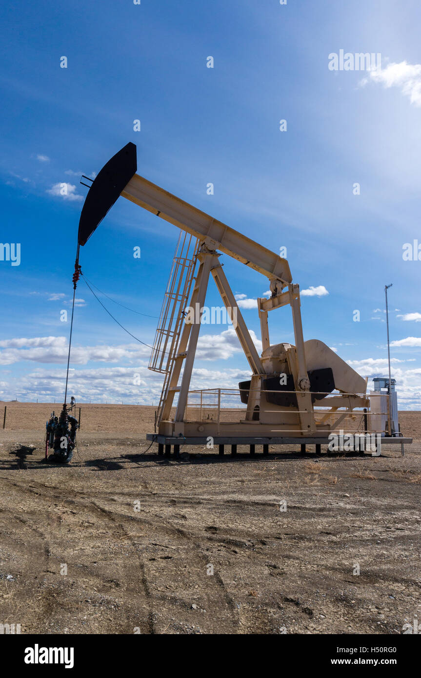 Eine Bohrschwengels, die Gewinnung von Öl aus einer oberirdischen gut in ländlichen Alberta, Kanada. Stockfoto