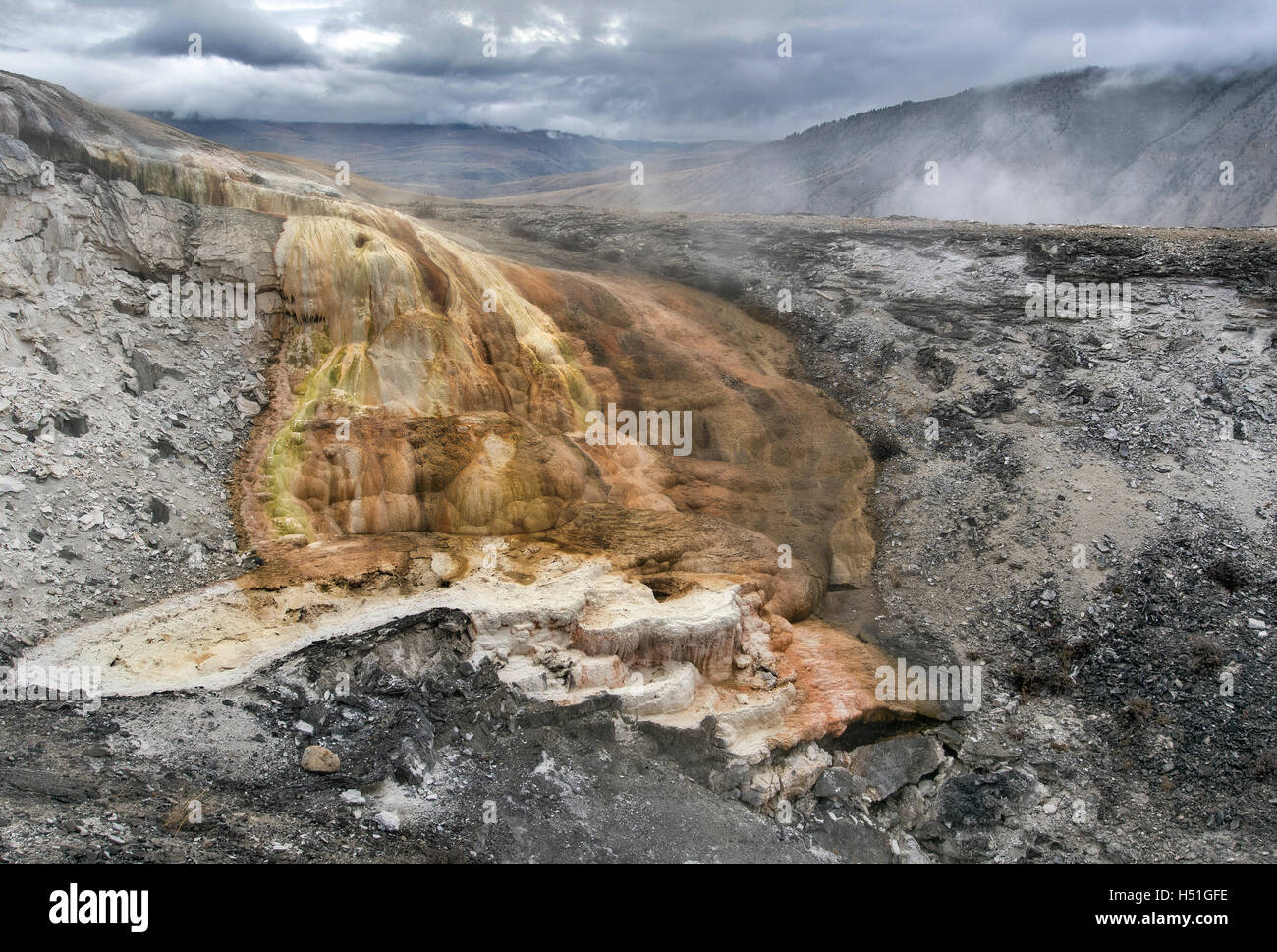 Yellowstone NP, Wyoming, Mammoth Hot Springs, Amor Frühling Stockfoto