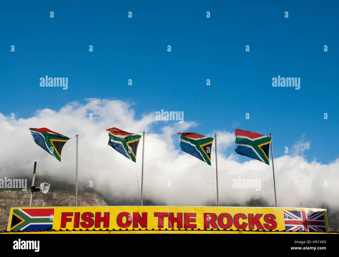 Kultige Fisch auf den Felsen mit südafrikanischen Flaggen wehen im Wind, Hout Bay, Südafrika Stockfoto