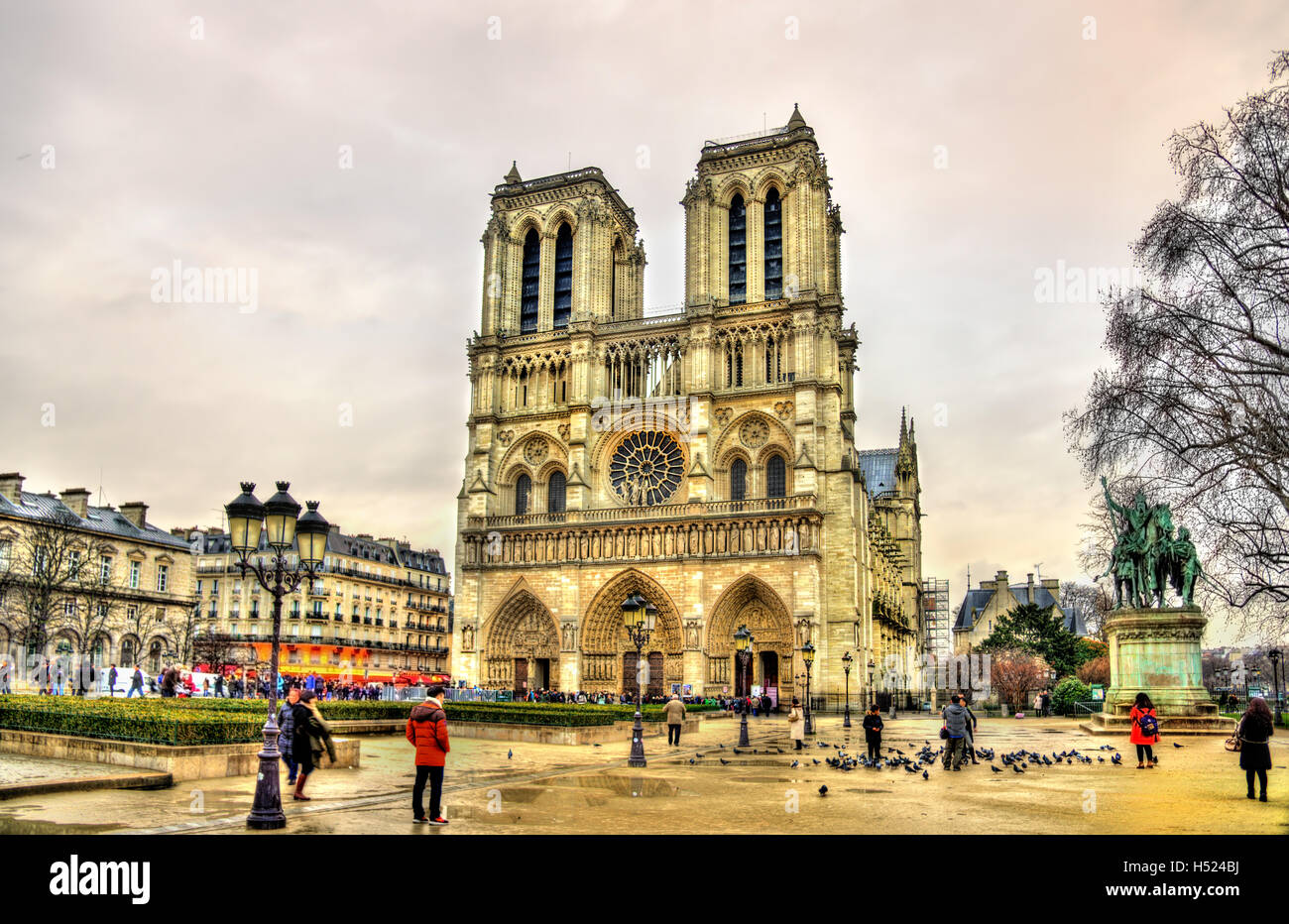 Parvis Notre-Dame-Jean-Paul-II.-Platz in Paris, Frankreich Stockfoto