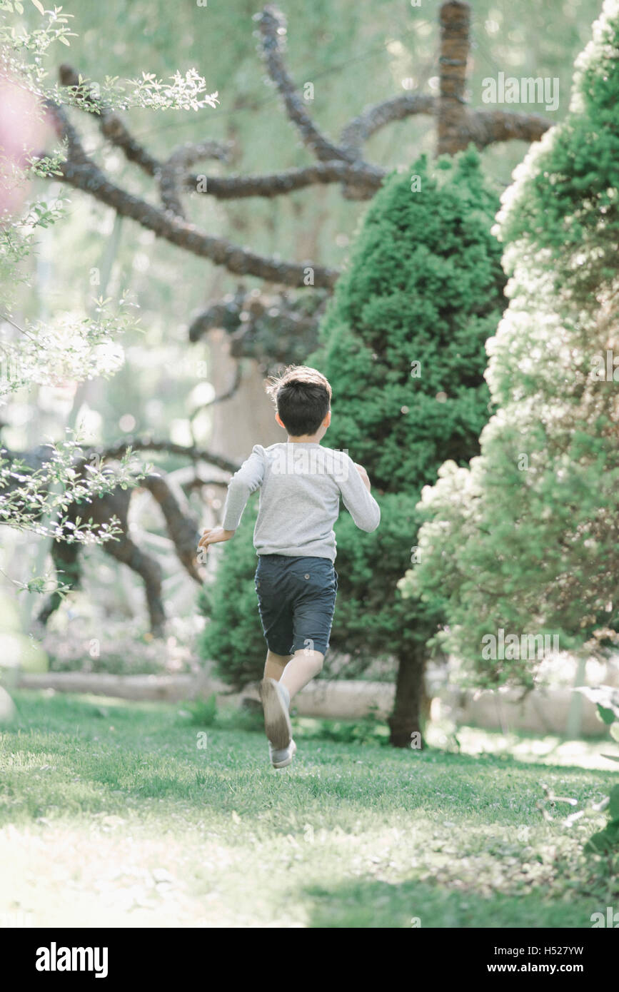 Rückansicht eines jungen quer über eine Wiese im Garten. Stockfoto