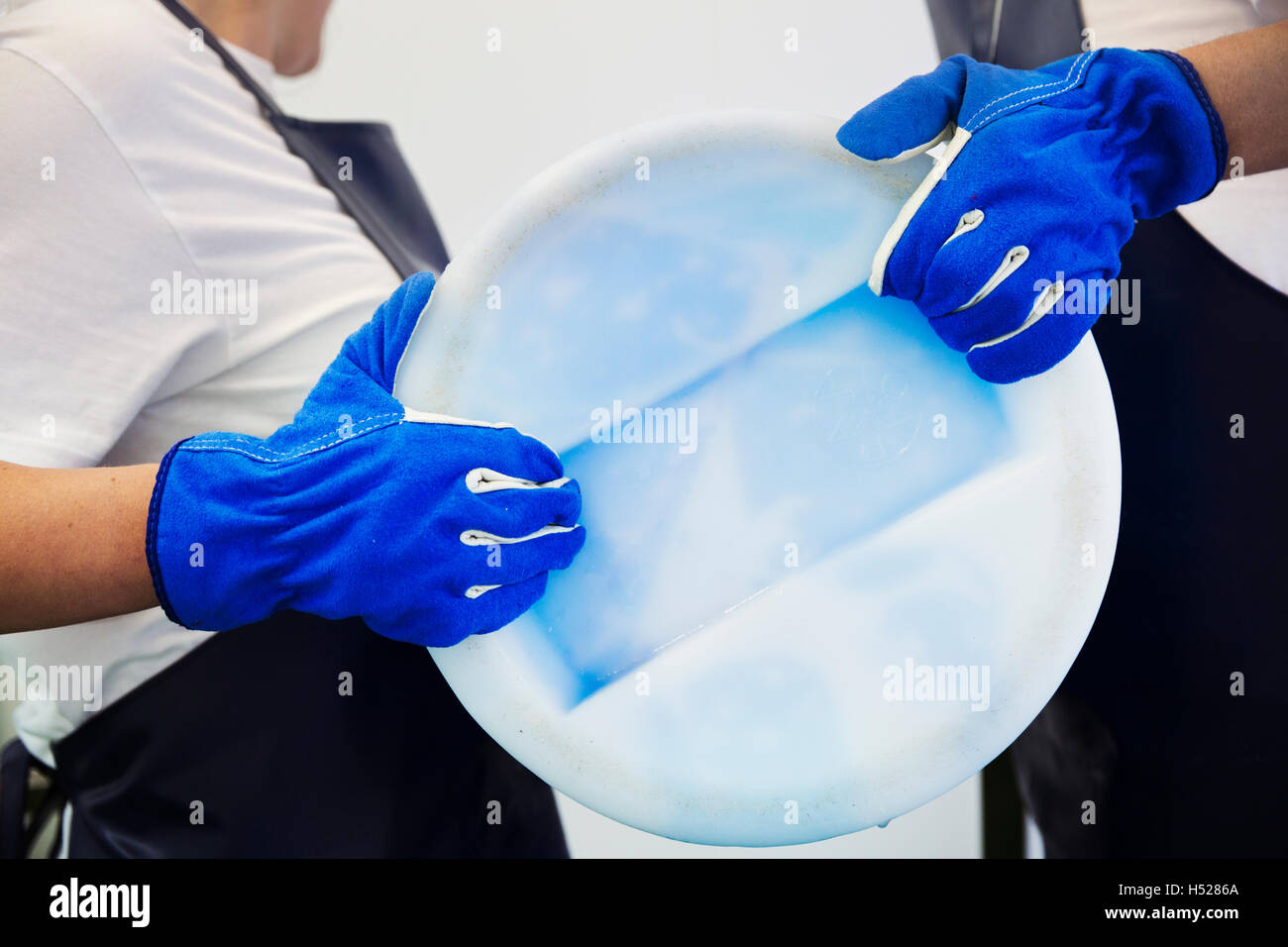 Mann und Frau in einer Molkerei, Gießen Ziegen Milch von einer Abwanderung zu Ziegenkäse. Stockfoto