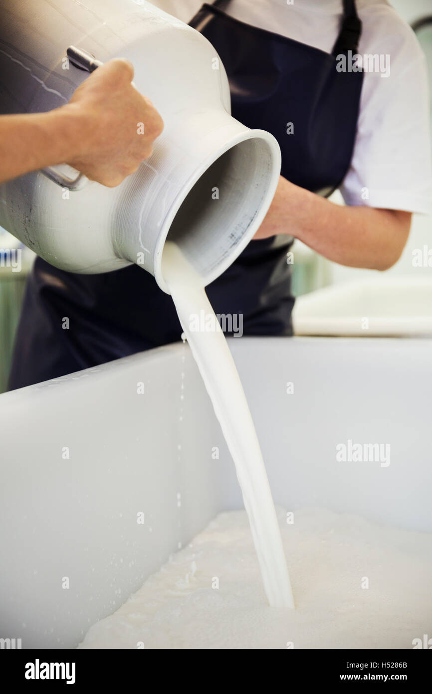 Nahaufnahme von Ziegenmilch gegossen aus einer Abwanderung in einer Molkerei zu Ziegenkäse. Stockfoto