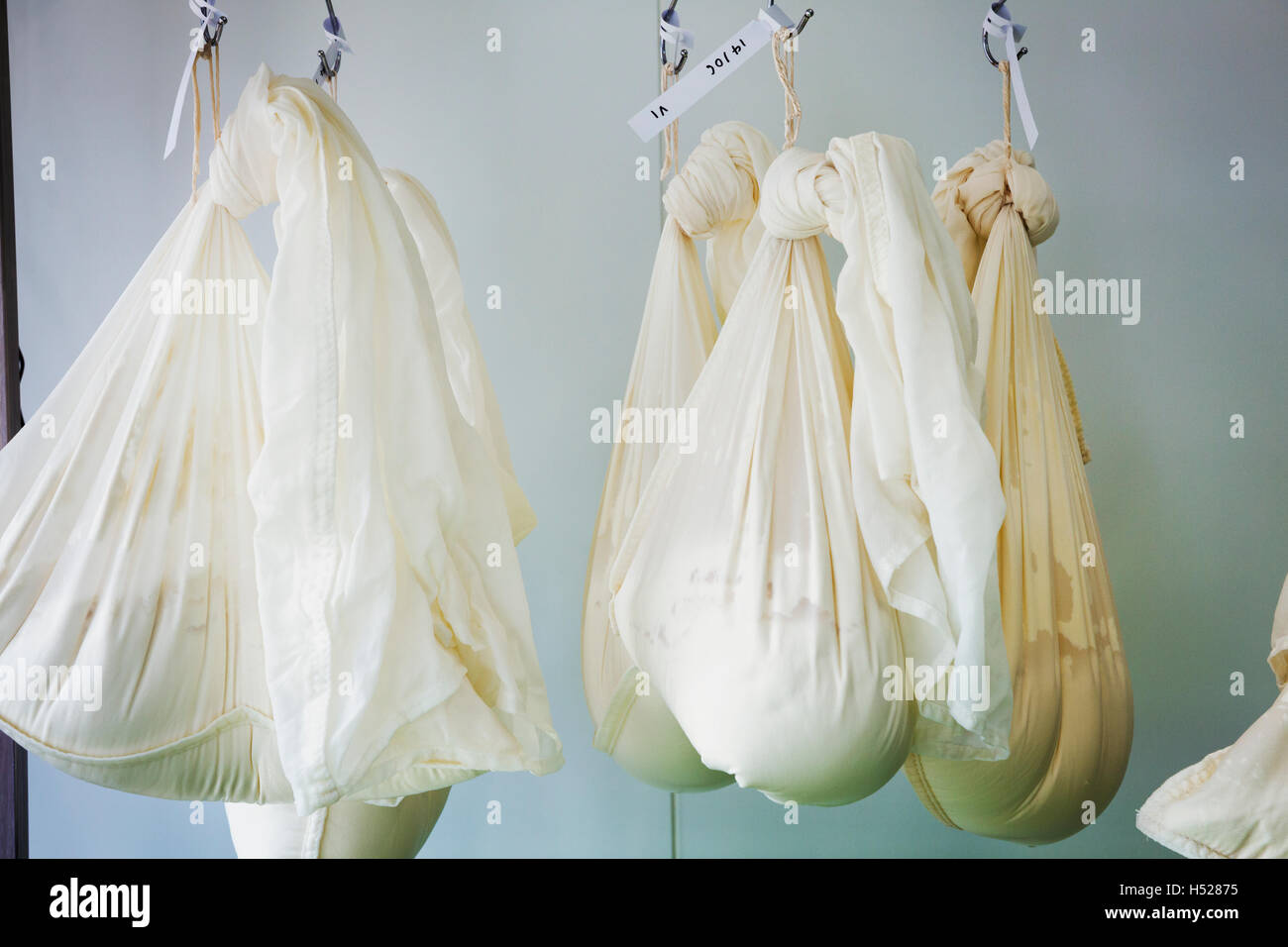 Mullsäckchen mit Ziegenkäse in einer Molkerei hängen. Stockfoto