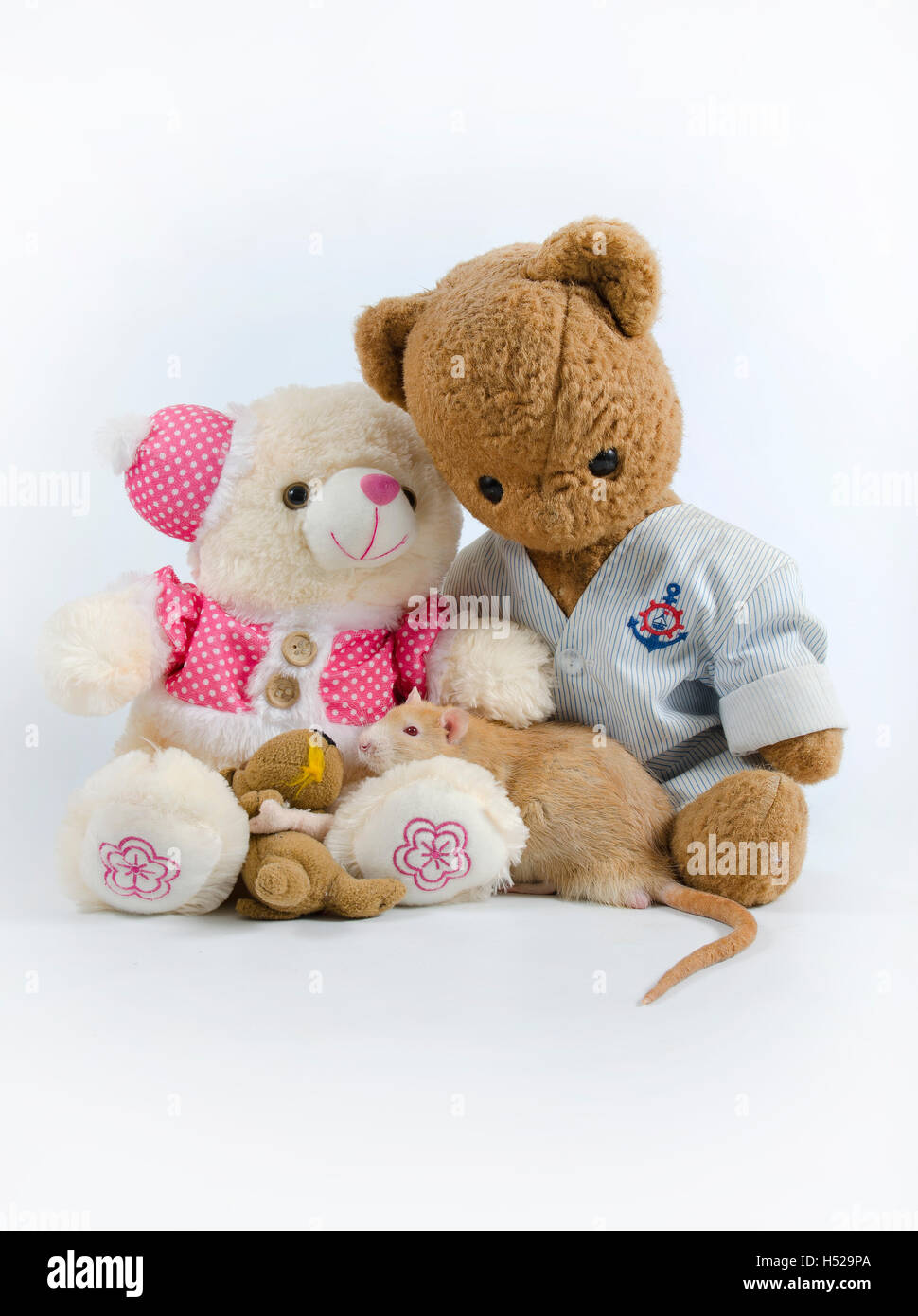 Teddy maus -Fotos und -Bildmaterial in hoher Auflösung – Alamy