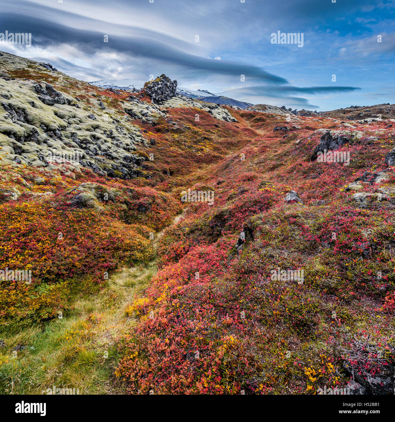 Lava und Moos Landschaft im Herbst, Snaefellsjökull Nationalpark, Island Stockfoto