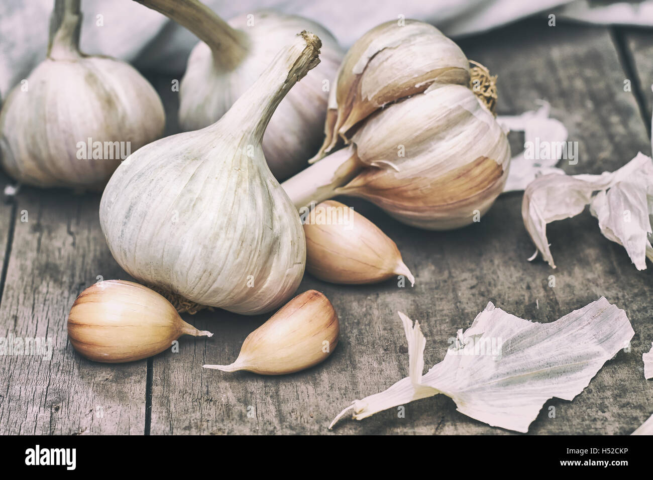 Kopf des Knoblauchs und Nelken auf grauem rustikalen hölzernen Hintergrund Stockfoto