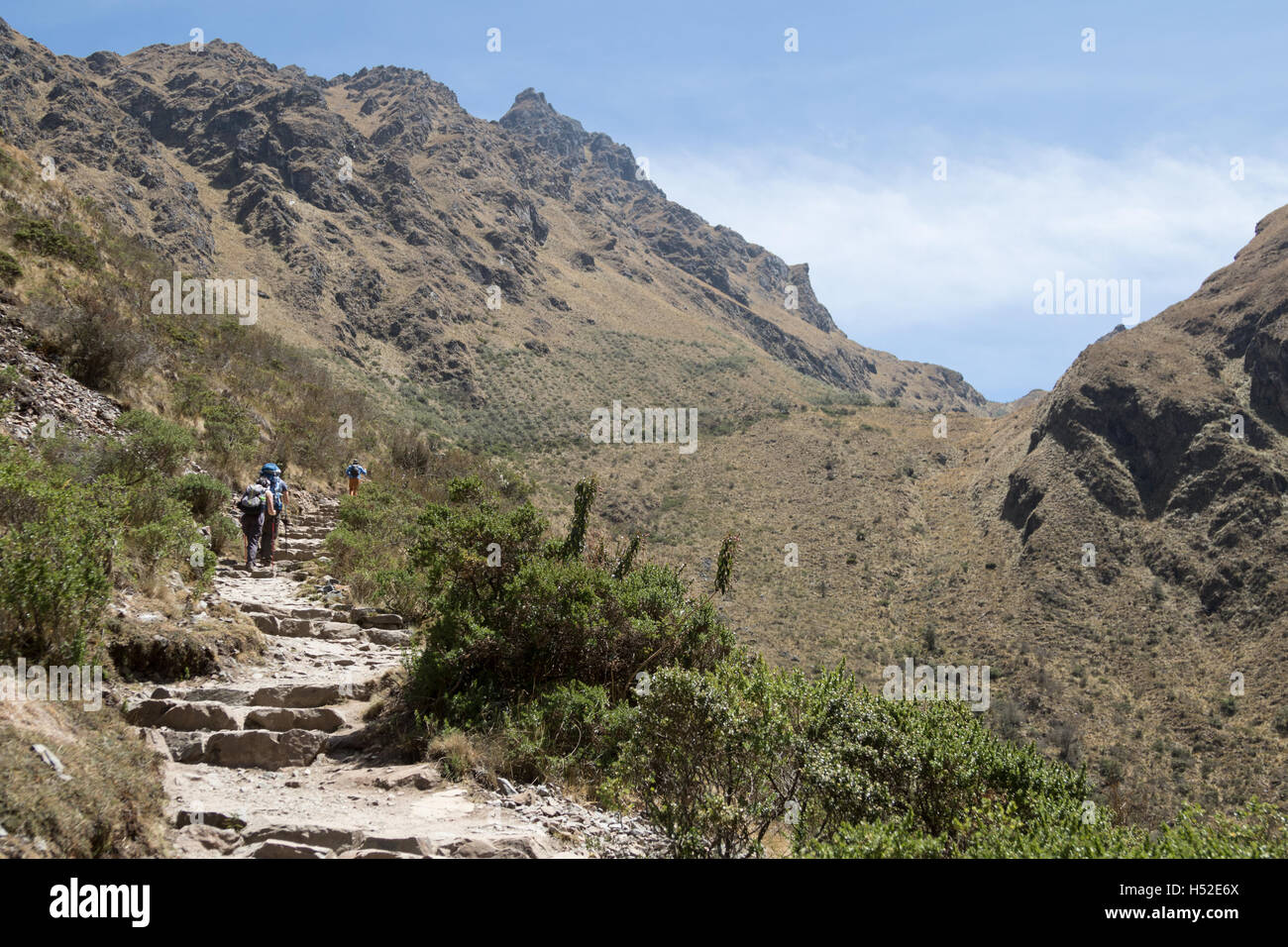 Wanderer, Klettern die letzte Etappe bis zum Gipfel des Pass der toten Frau auf dem Inca Trail im Heiligen Tal von Peru Stockfoto