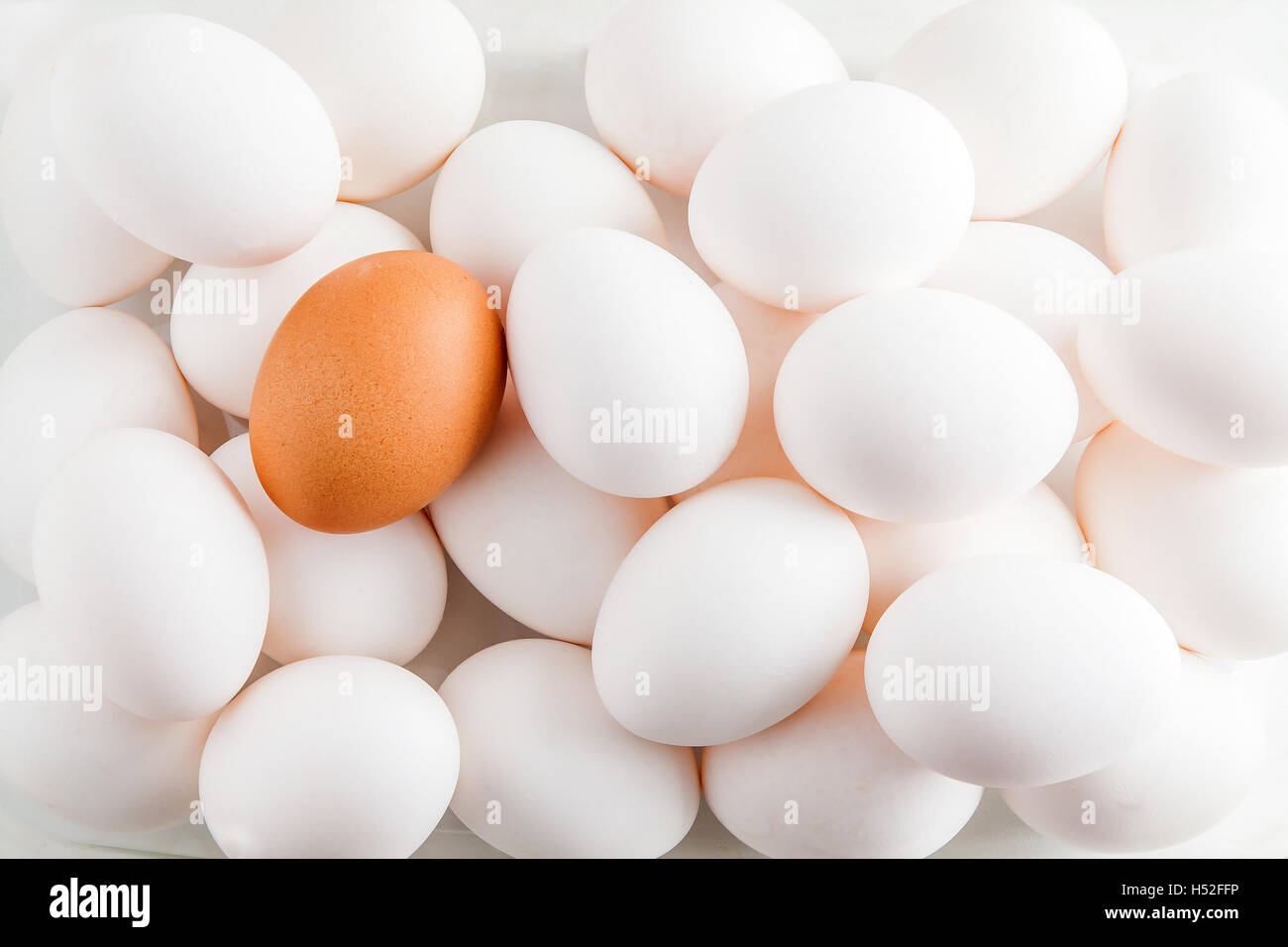 Huhn, weißem Hintergrund rohen Eiern und eine braun / Stockfoto