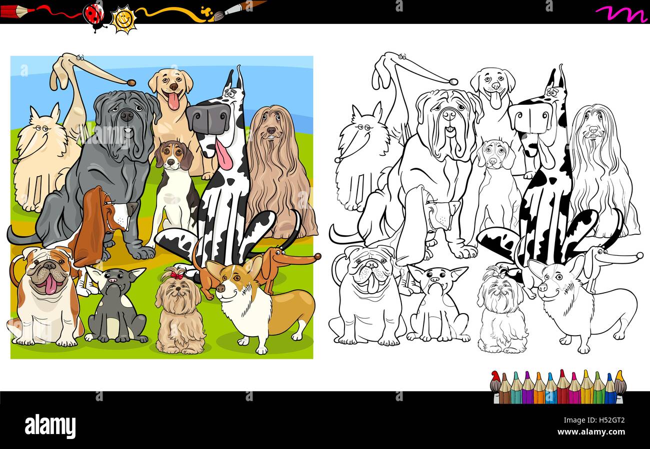 Cartoon-Illustration von reinrassigen Hunden Coloring Book-Aktivität Stock Vektor