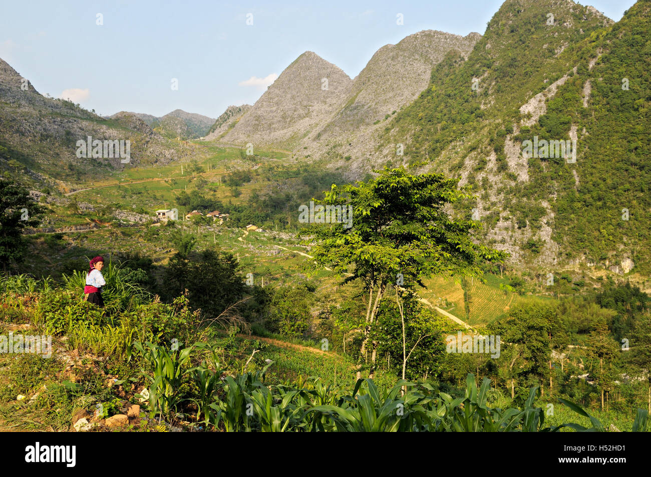 Berge zwischen Ha Giang und Dong Van in Nord-Vietnam Stockfoto