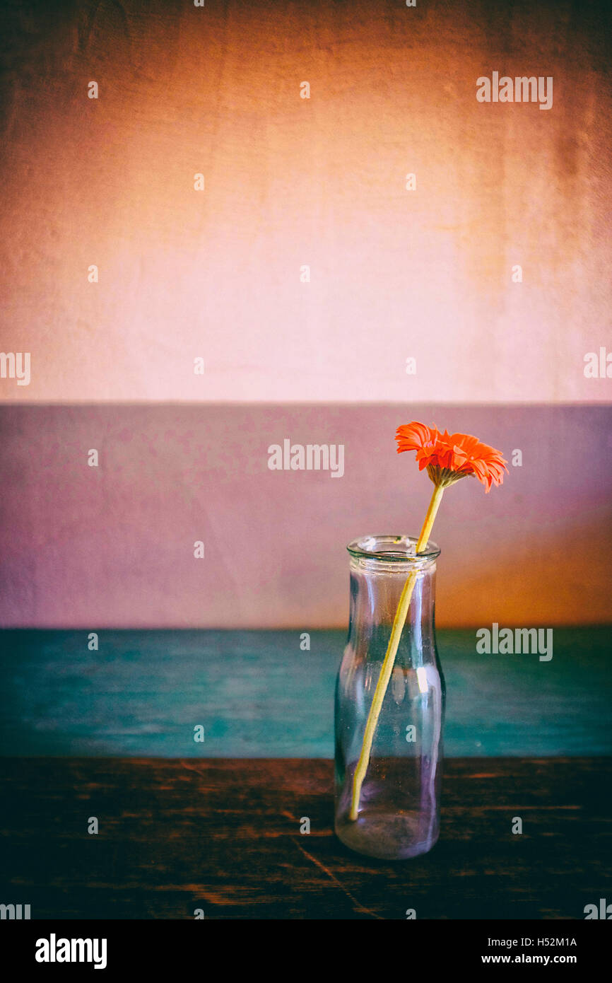 Vintage Stillleben einer Blume in einer Flasche Stockfoto