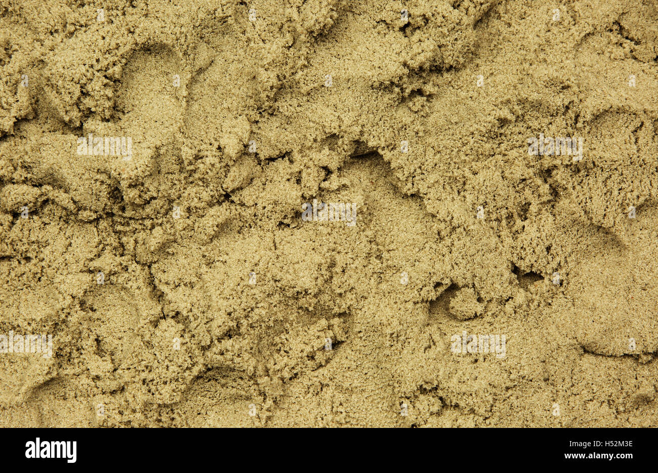 Flache Draufsicht auf dem nassen Sand mit einer deutlich sichtbaren Textur. Interessante, natürlichen Hintergrund. Flache, horizontale Ansicht. Stockfoto