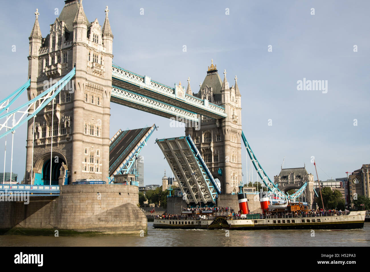 Waverley Raddampfer auf der Themse im Jahr 2016 London Saison Stockfoto