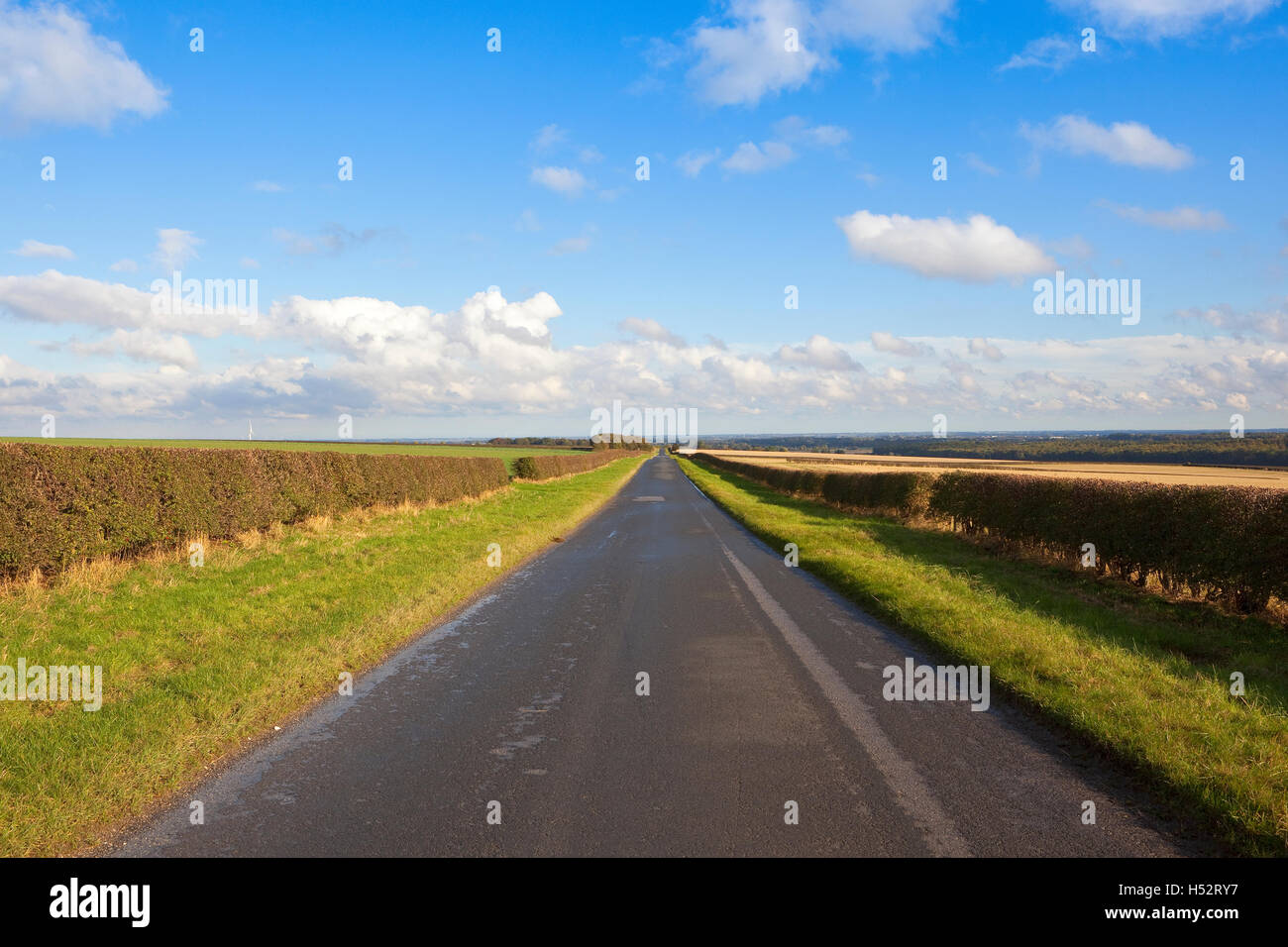 Hecken und Grünstreifen durch eine nasse Asphaltstraße bei blau bewölktem Himmel im Herbst. Stockfoto