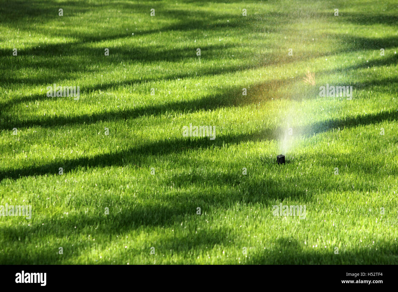 Wässern den Rasen mit Sprinkleranlage Stockfotografie Alamy