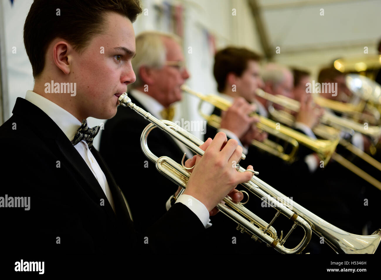 Orchester spielt in der letzten Nacht der Proms, Alton Public Gardens, Alton, Hampshire, UK, 9. Juli 2016. Stockfoto