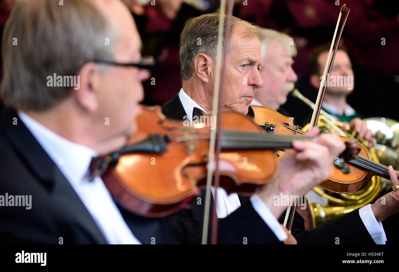 Orchester spielt in der letzten Nacht der Proms, Alton Public Gardens, Alton, Hampshire, UK, 9. Juli 2016. Stockfoto