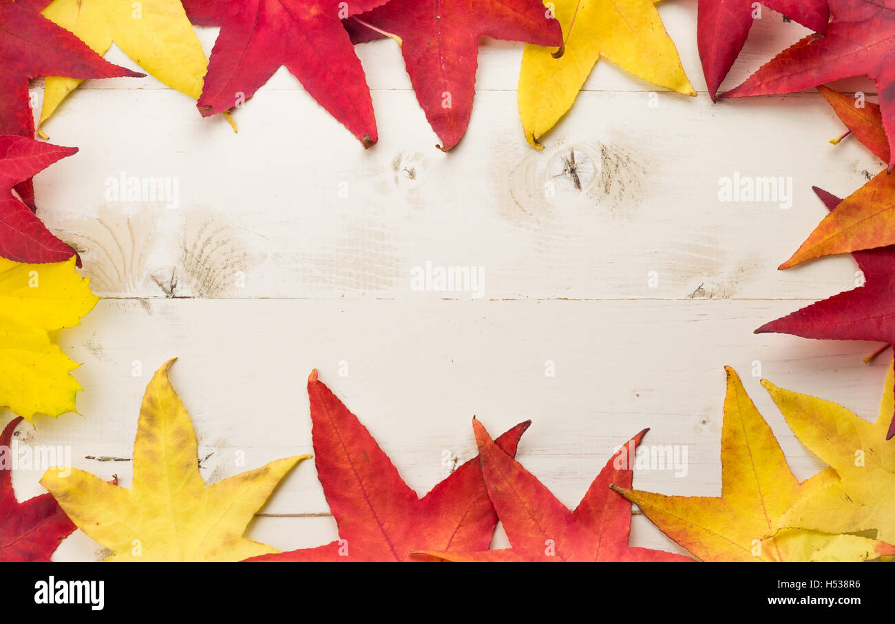 Rahmen von bunten Herbstlaub in gelb und rot auf einem weißen Holztisch Stockfoto
