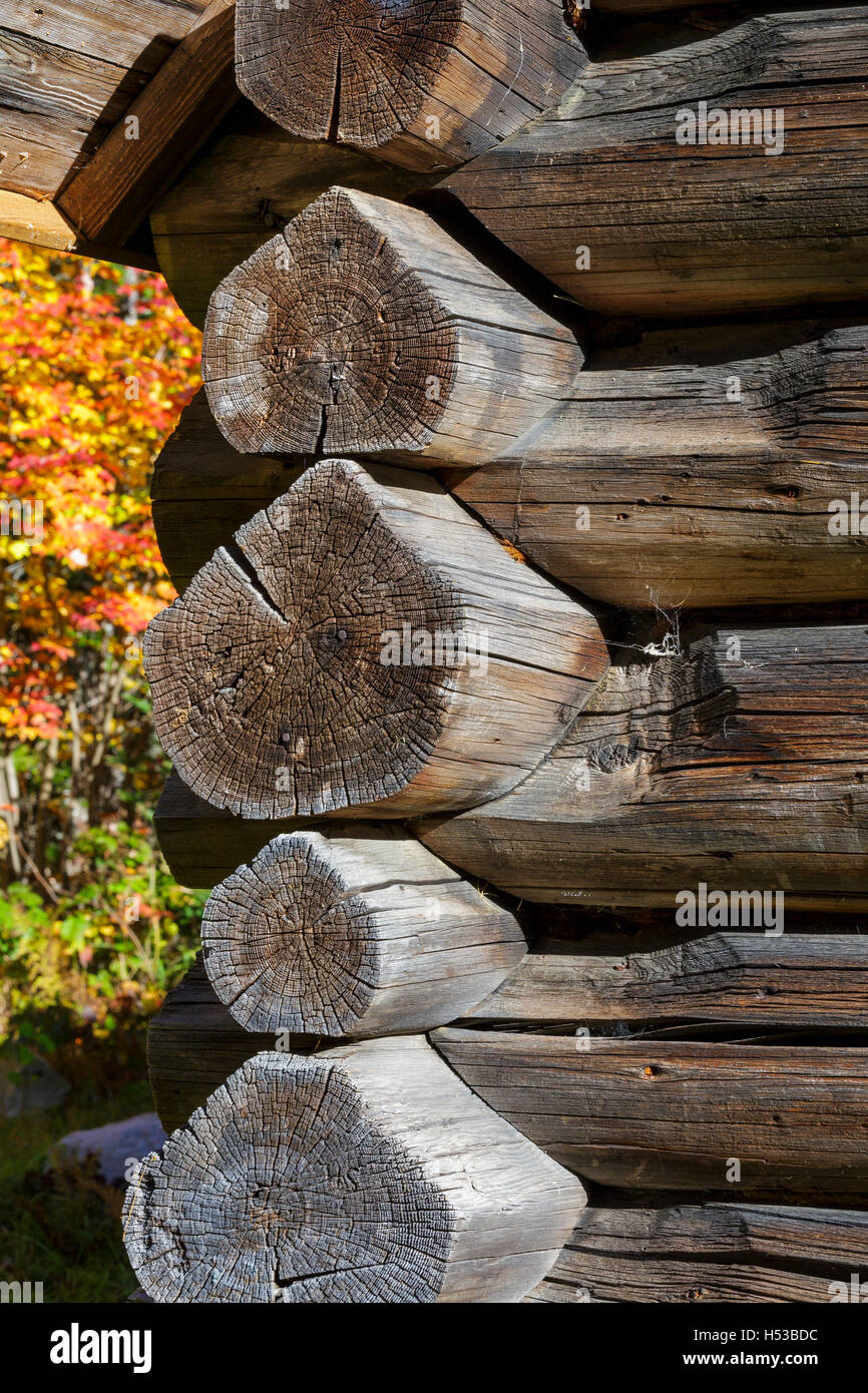 Die Fabyan Wachstation in Carroll, New Hampshire in den Herbstmonaten. Stockfoto