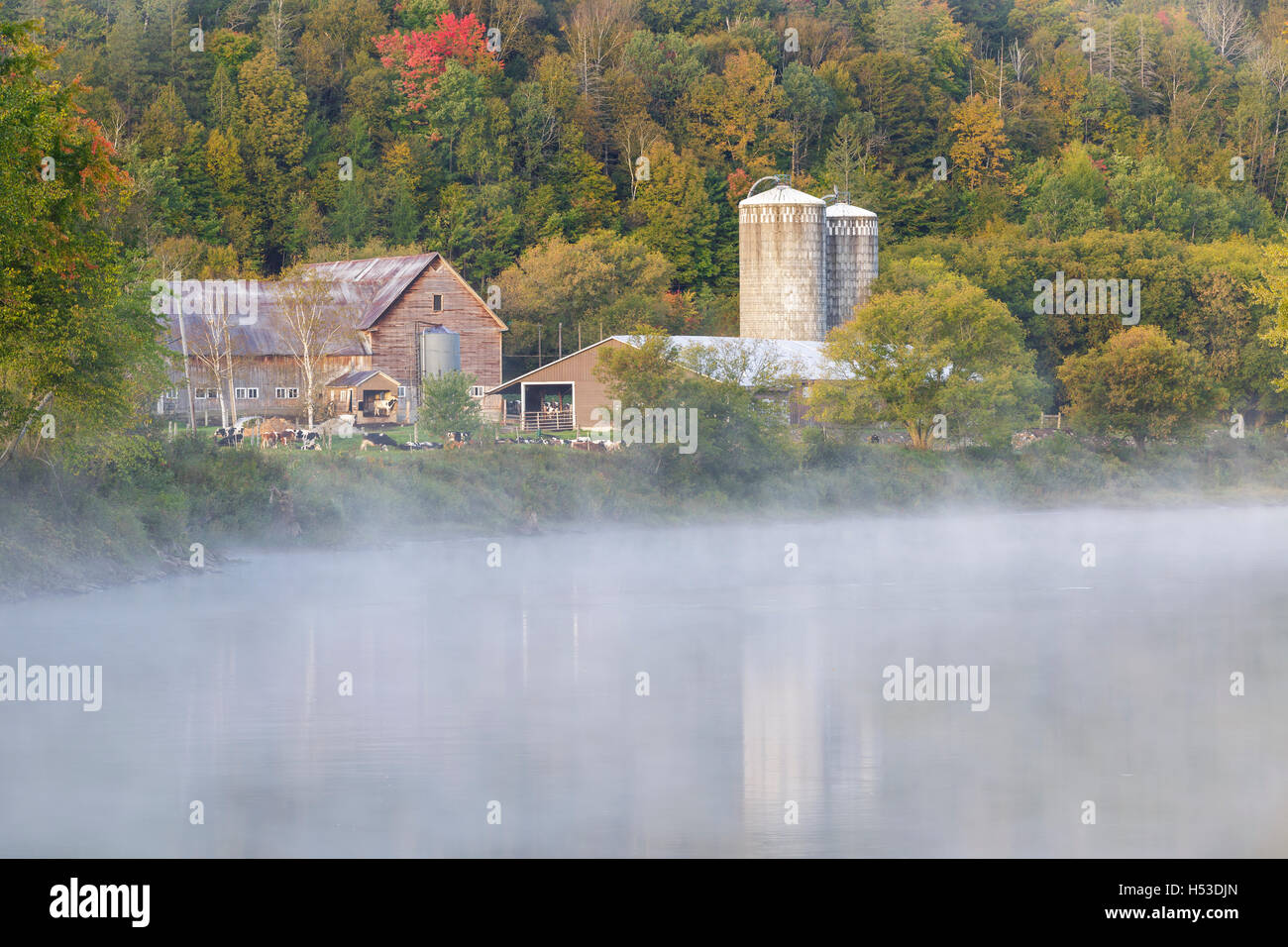 Bauernhof entlang des Connecticut River in Maidstone, Vermont in den Herbstmonaten. Stockfoto