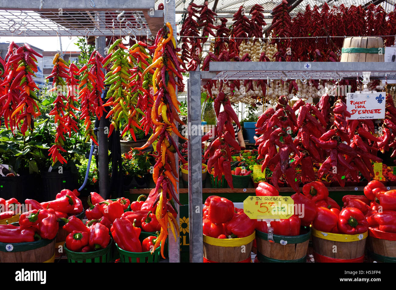 Paprika und Chilis auf einem Markt in Montreal, Kanada. Stockfoto
