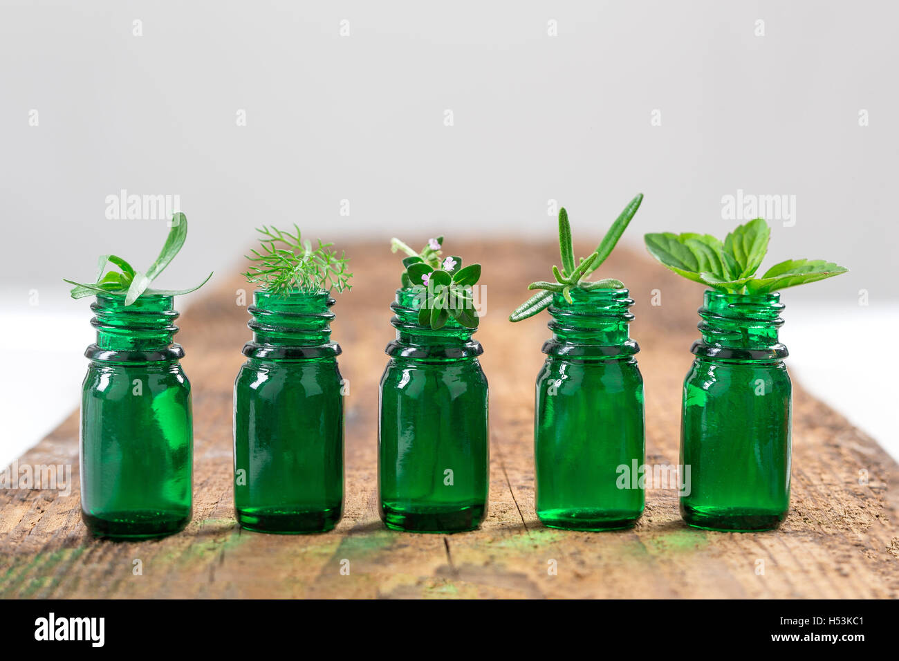 Grüne Flasche ätherisches Öl mit frischen Kräutern und Heilpflanzen Stockfoto