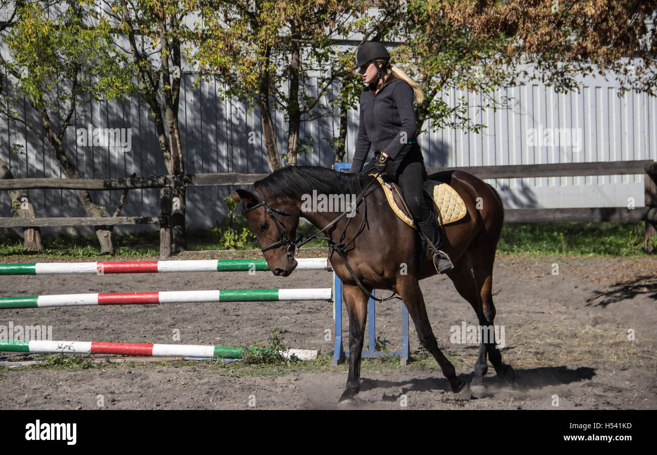 Hippodrom Belgrad - eine junge Dame Fahrer Tara Zugic (Žugić), Mitglied des Belgrader Pferdesport Club training Stockfoto