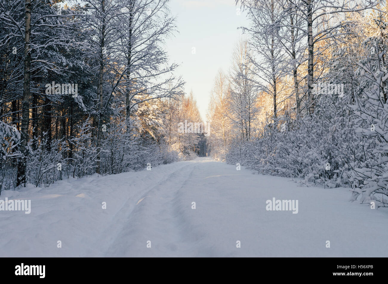 Verschneiten Landschaft Straße im malerischen Wald bis zum sonnigen Morgen, Winterlandschaft Stockfoto