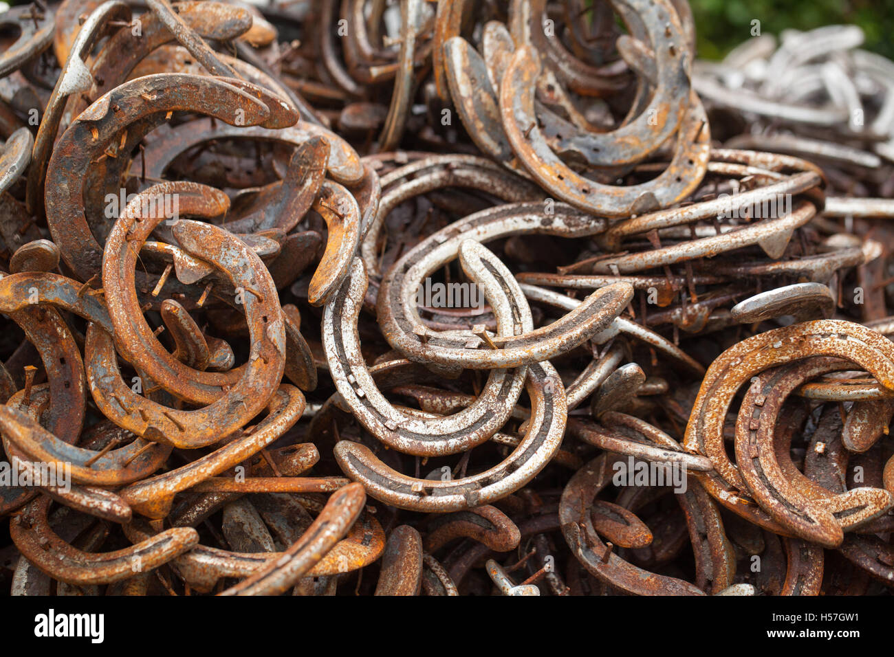 Hufeisen. Haufen von gebrauchte abgenutzte Metall Hufeisen. Außerhalb ein Schmied Hufschmiede. Leicestershire. England. VEREINIGTES KÖNIGREICH. Stockfoto