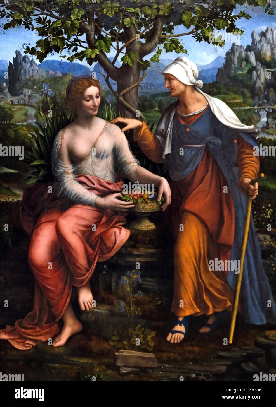 Vertumes Und Pomomna 1518 Francesco Melzi 1491-1568/1570) italienischer Maler. Er war der Sohn einer Mailänder Adelsfamilie. Melzi trat der Haushalt von Leonardo da Vinci im Jahre 1506. Er begleitete Leonardo auf Reisen nach Rom im Jahre 1513 und nach Frankreich im Jahre 1517 Italien Italienisch Stockfoto