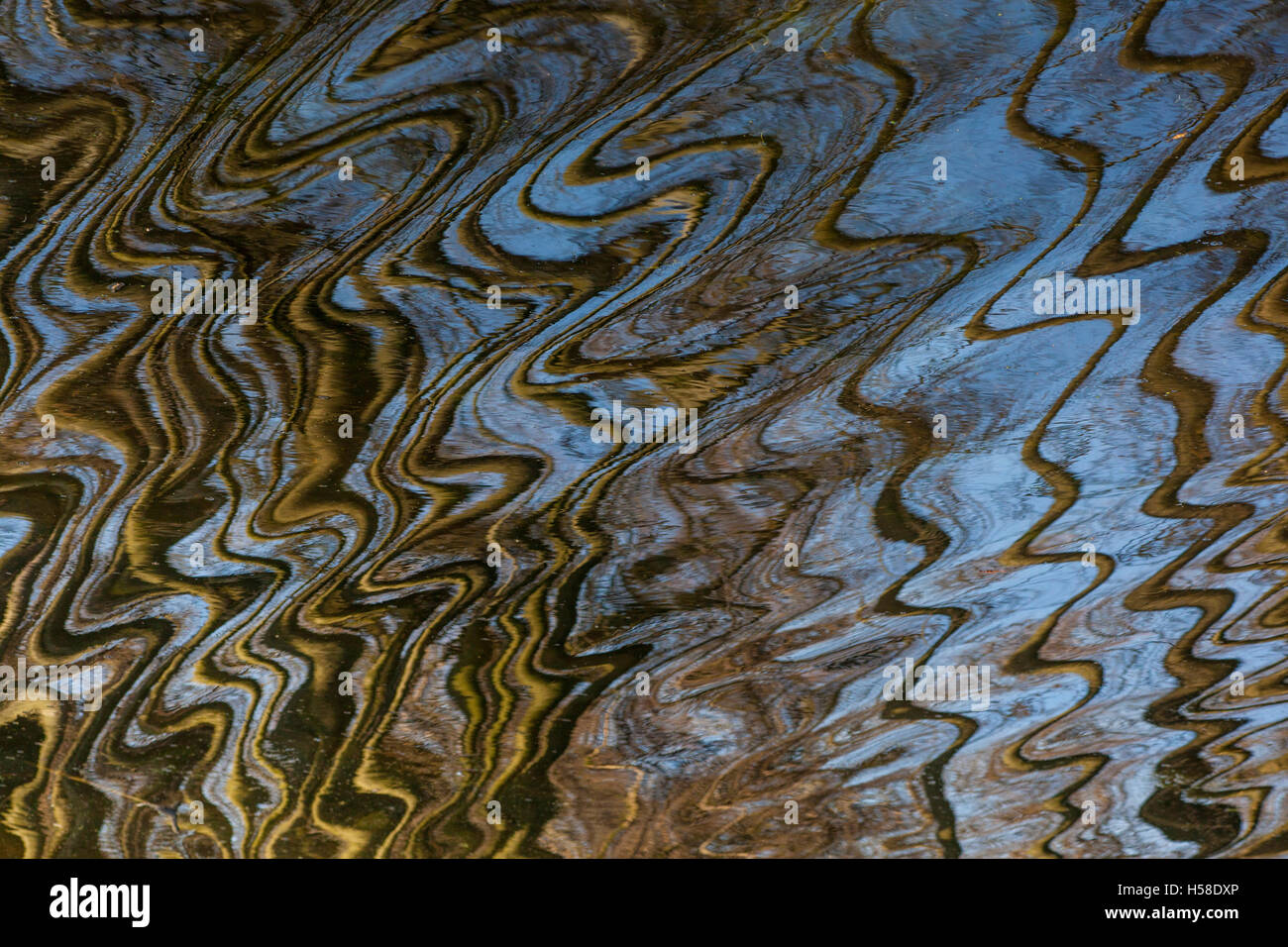 Spiegelungen im Wasser im Nationalpark Kampinos, Masowien, Polen Stockfoto